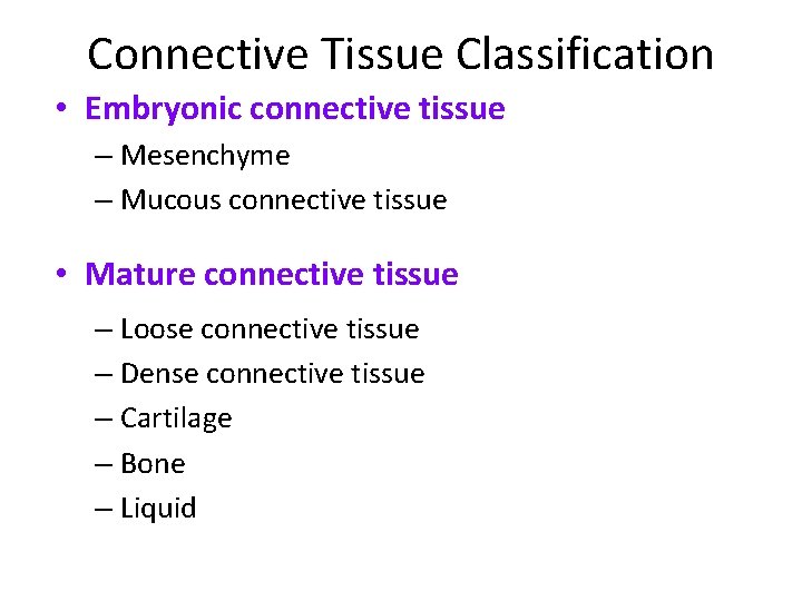 Connective Tissue Classification • Embryonic connective tissue – Mesenchyme – Mucous connective tissue •