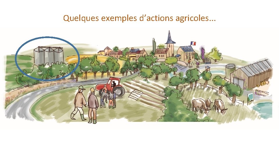 Quelques exemples d’actions agricoles. . . 