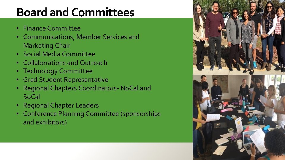 Board and Committees • Finance Committee • Communications, Member Services and Marketing Chair •