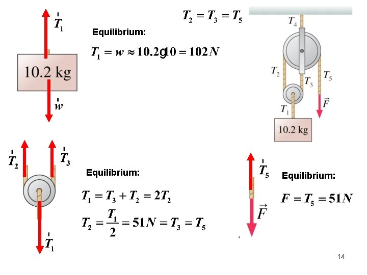 Equilibrium: 14 