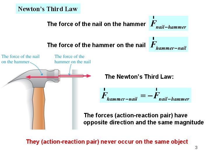 Newton’s Third Law The force of the nail on the hammer The force of