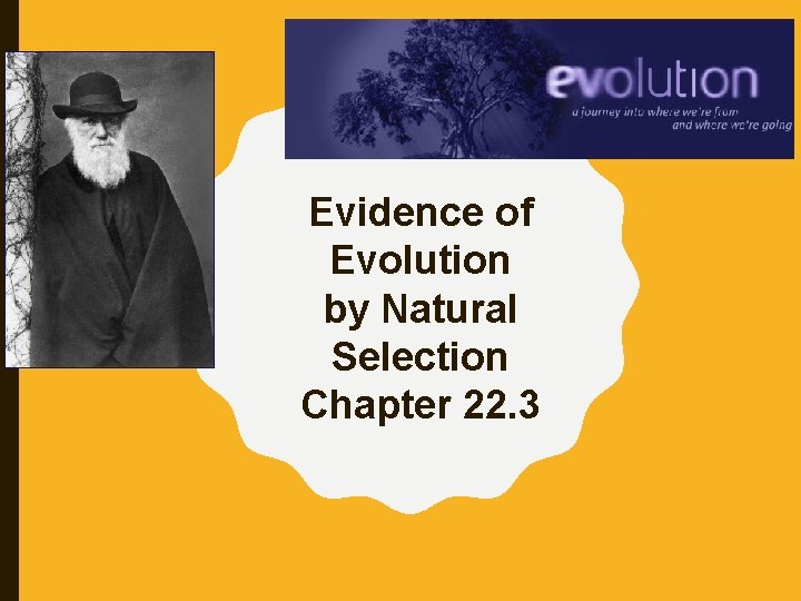 Evidence of Evolution by Natural Selection Chapter 22. 3 