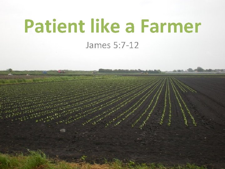 Patient like a Farmer James 5: 7 -12 