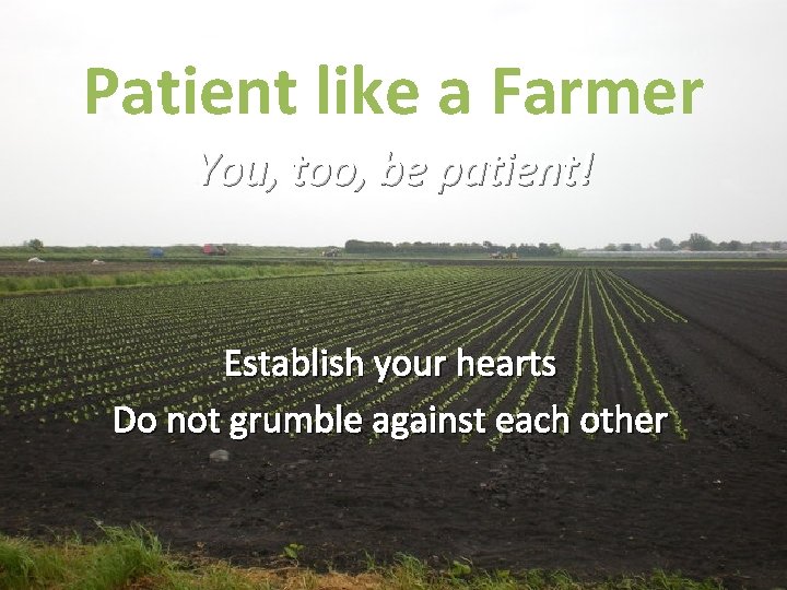 Patient like a Farmer You, too, be patient! Establish your hearts Do not grumble