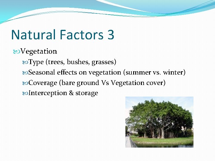 Natural Factors 3 Vegetation Type (trees, bushes, grasses) Seasonal effects on vegetation (summer vs.