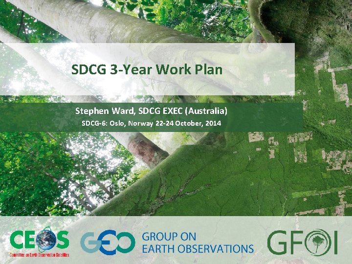 www. earthobservations. org www. gfoi. org SDCG 3 -Year Work Plan Stephen Ward, SDCG