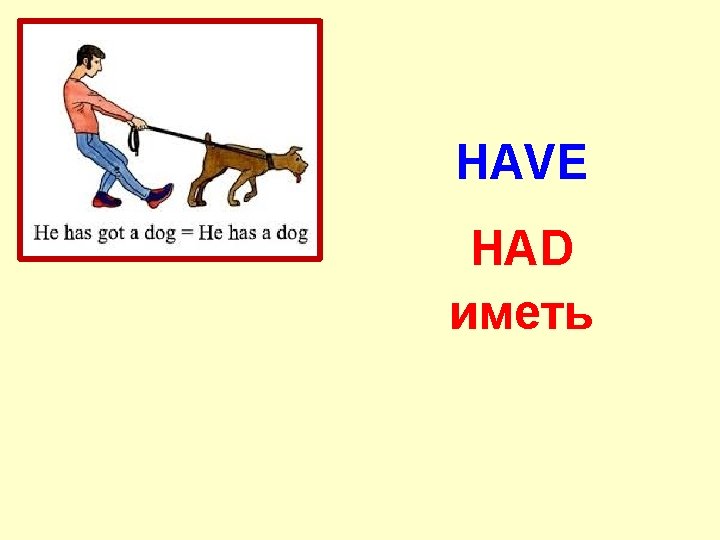 HAVE HAD иметь 