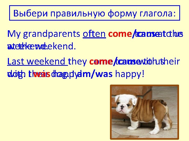 Выбери правильную форму глагола: My grandparents often come/came to us attothe us at the