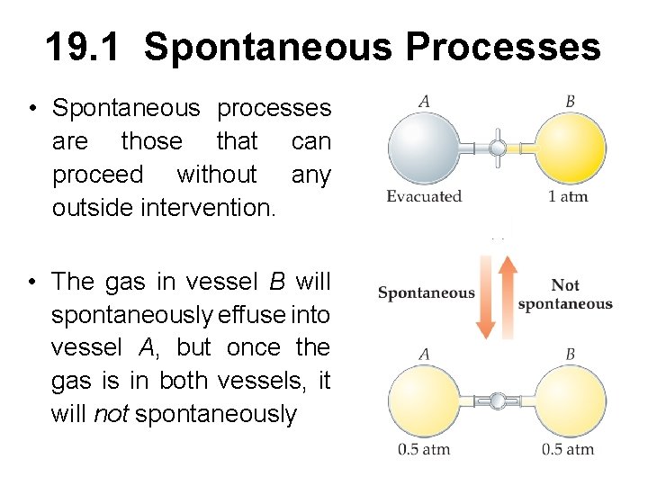 19. 1 Spontaneous Processes • Spontaneous processes are those that can proceed without any