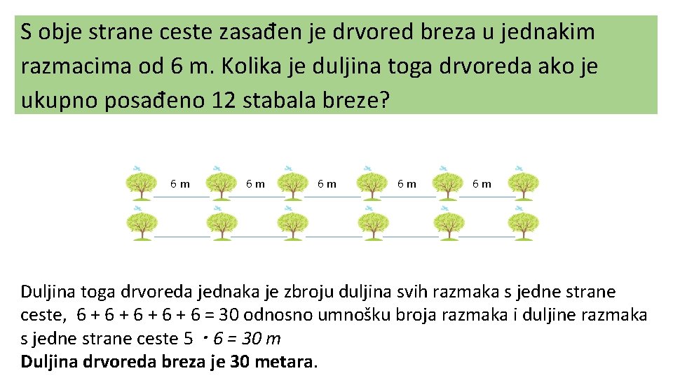 S obje strane ceste zasađen je drvored breza u jednakim razmacima od 6 m.