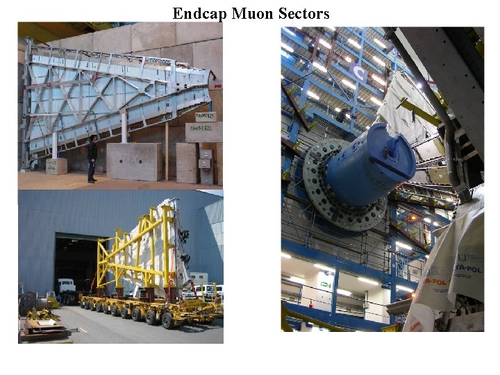 Endcap Muon Sectors Endcap muon sector 