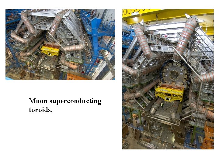 Muon Toroids Muon superconducting toroids. 