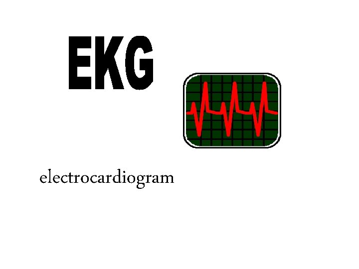 electrocardiogram 