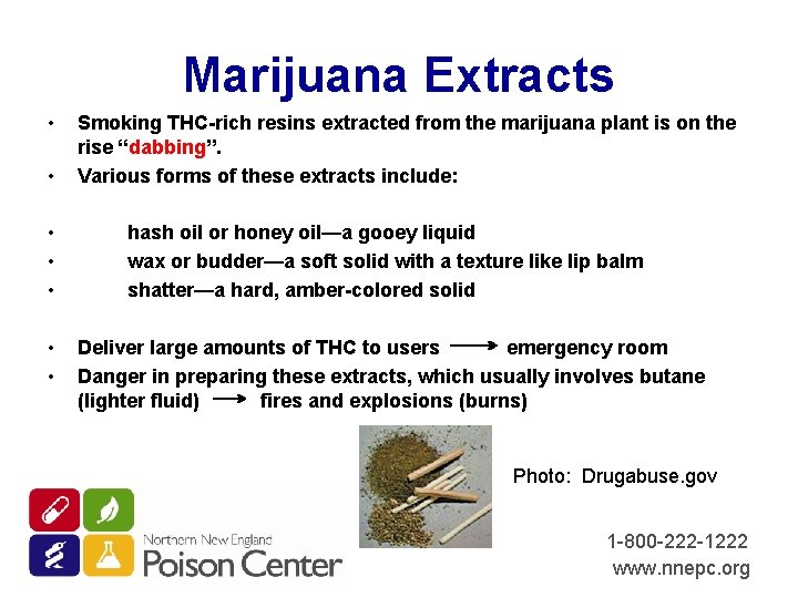 Marijuana Extracts • • Smoking THC-rich resins extracted from the marijuana plant is on
