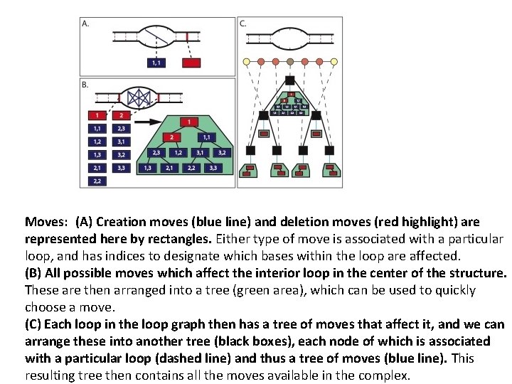 Moves: (A) Creation moves (blue line) and deletion moves (red highlight) are represented here