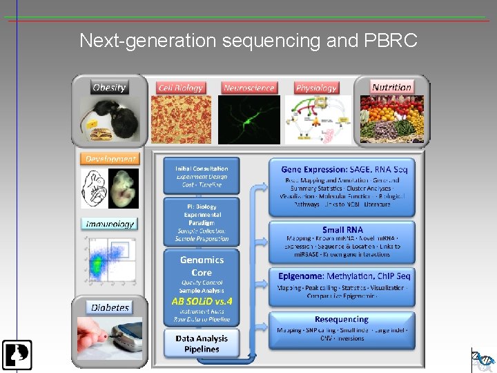 Next-generation sequencing and PBRC 