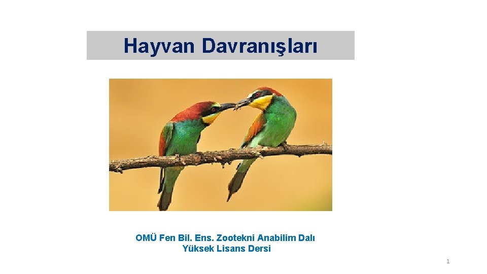 Hayvan Davranışları OMÜ Fen Bil. Ens. Zootekni Anabilim Dalı Yüksek Lisans Dersi 1 