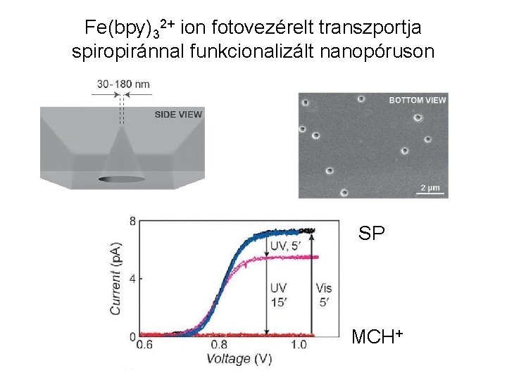 Fe(bpy)32+ ion fotovezérelt transzportja spiropiránnal funkcionalizált nanopóruson SP MCH+ 