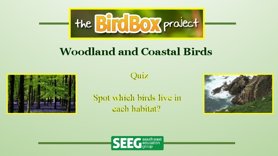 Woodland Coastal Birds Quiz Spot which birds live in each habitat? 