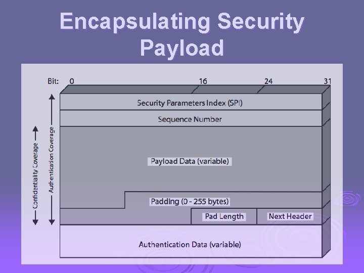 Encapsulating Security Payload 