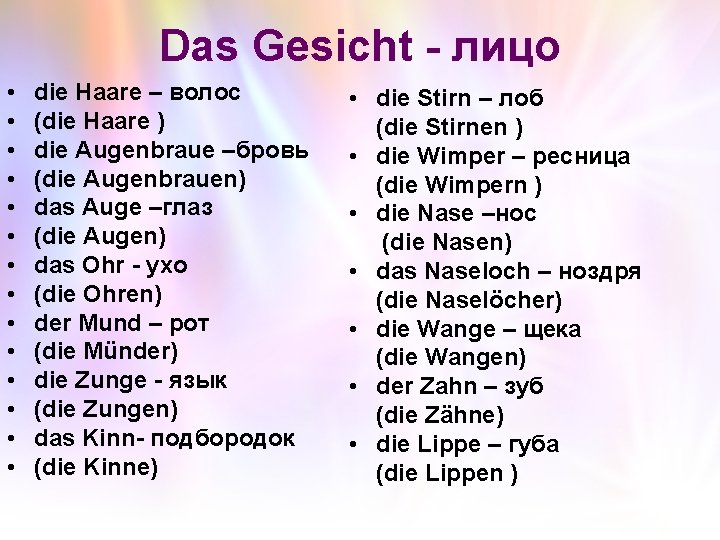Das Gesicht - лицо • • • • die Haare – волос (die Haare