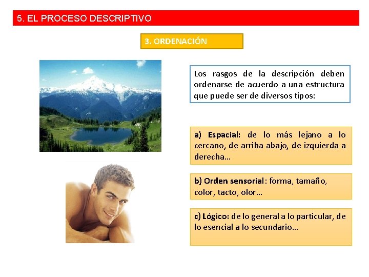 5. EL PROCESO DESCRIPTIVO 3. ORDENACIÓN Los rasgos de la descripción deben ordenarse de