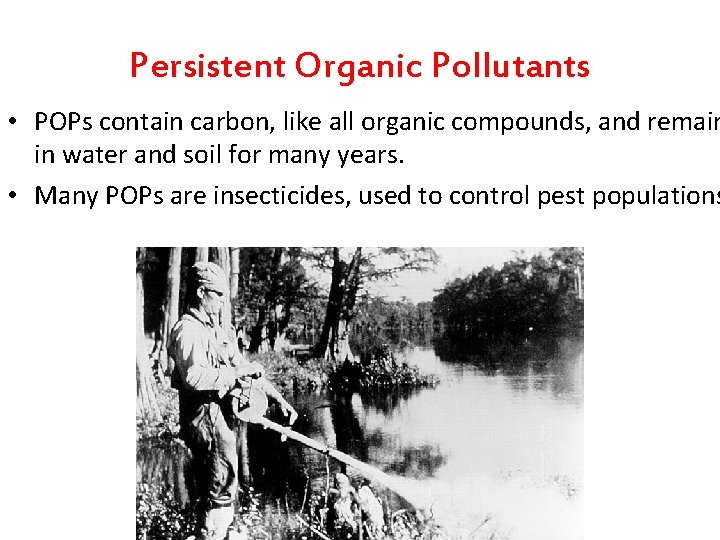 Persistent Organic Pollutants • POPs contain carbon, like all organic compounds, and remain in Persistent Organic Pollutants • POPs contain carbon, like all organic compounds, and remain in