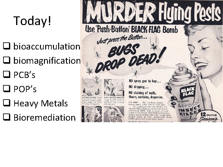 Today! q bioaccumulation q biomagnification q PCB’s q POP’s q Heavy Metals q Bioremediation Today! q bioaccumulation q biomagnification q PCB’s q POP’s q Heavy Metals q Bioremediation