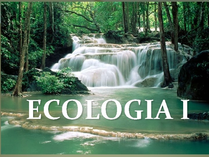 ECOLOGIA I 