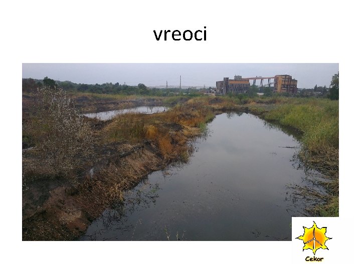 vreoci 