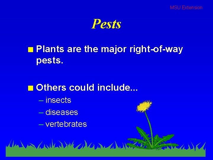 MSU Extension Pests n Plants are the major right-of-way pests. n Others could include.