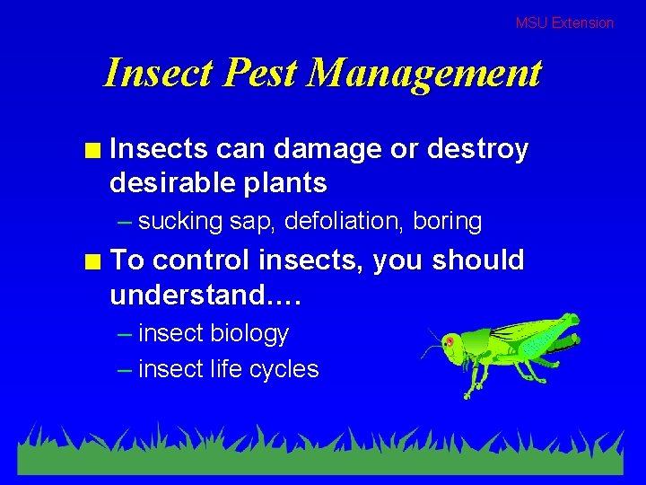 MSU Extension Insect Pest Management n Insects can damage or destroy desirable plants –