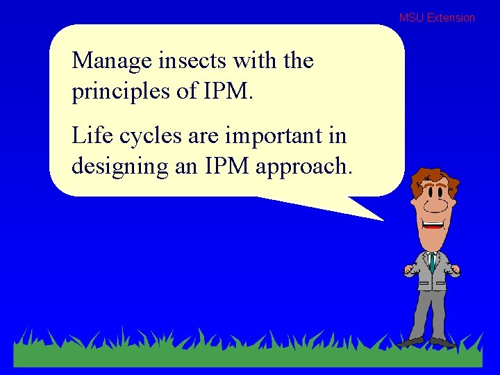 MSU Extension Manage insects with the principles of IPM. Life cycles are important in