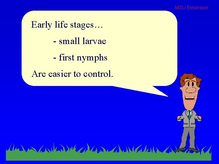 MSU Extension Early life stages… - small larvae - first nymphs Are easier to