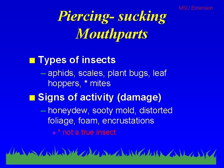 Piercing- sucking Mouthparts n Types of insects – aphids, scales, plant bugs, leaf hoppers,