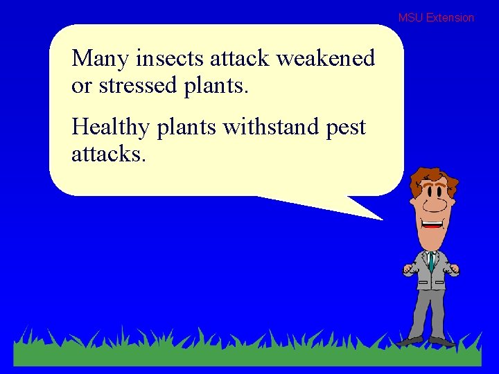 MSU Extension Many insects attack weakened or stressed plants. Healthy plants withstand pest attacks.