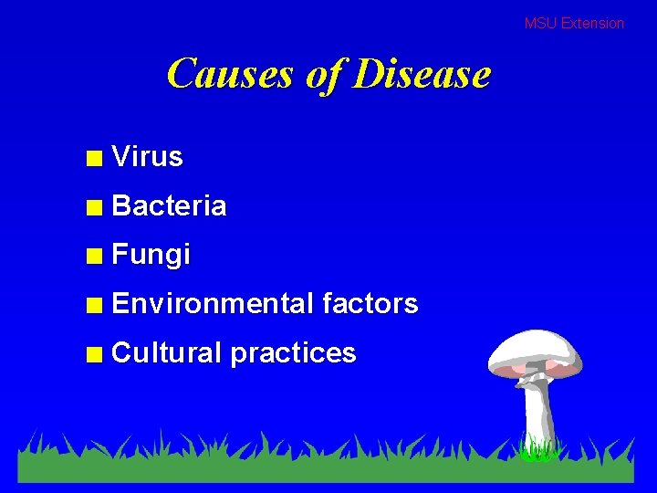 MSU Extension Causes of Disease n Virus n Bacteria n Fungi n Environmental factors