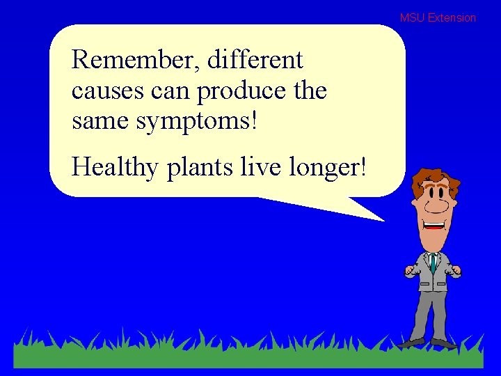 MSU Extension Remember, different causes can produce the same symptoms! Healthy plants live longer!