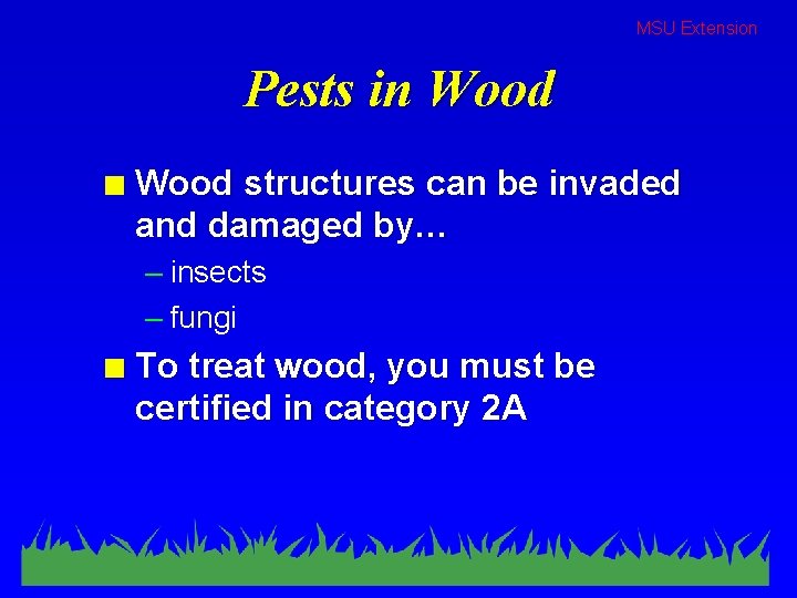 MSU Extension Pests in Wood structures can be invaded and damaged by… – insects