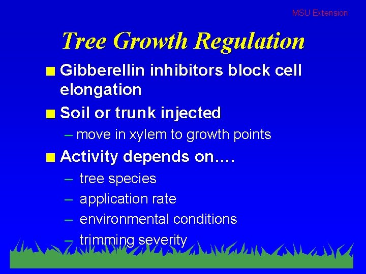 MSU Extension Tree Growth Regulation Gibberellin inhibitors block cell elongation n Soil or trunk