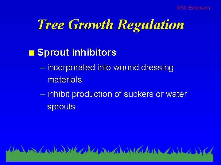 MSU Extension Tree Growth Regulation n Sprout inhibitors – incorporated into wound dressing materials