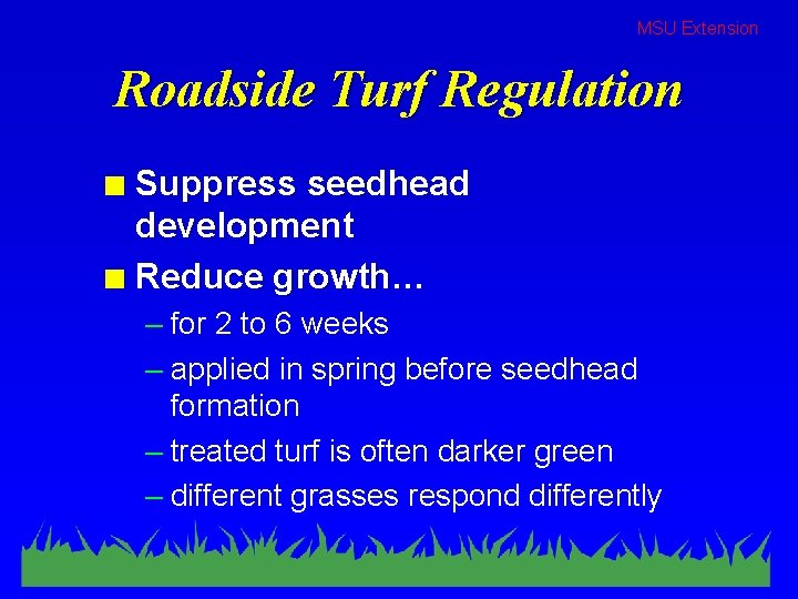 MSU Extension Roadside Turf Regulation Suppress seedhead development n Reduce growth… n – for