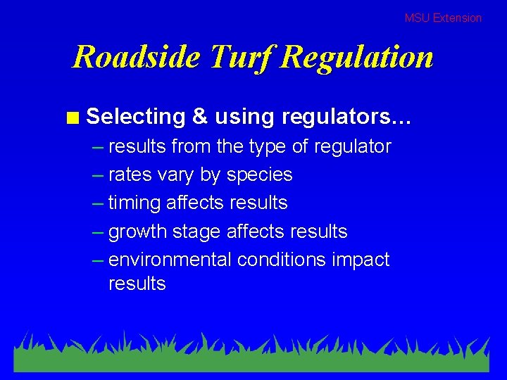 MSU Extension Roadside Turf Regulation n Selecting & using regulators… – results from the