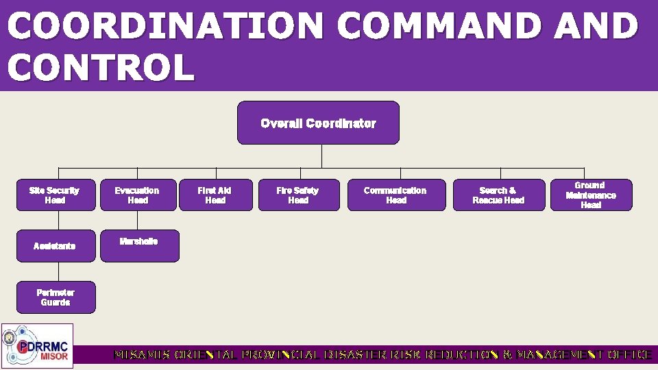 COORDINATION COMMAND CONTROL Overall Coordinator Site Security Head Assistants Evacuation Head First Aid Head