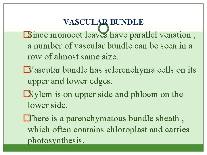 VASCULAR BUNDLE �Since monocot leaves have parallel venation , a number of vascular bundle