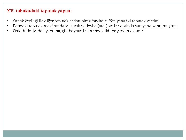 XV. tabakadaki tapınak yapısı: • • • Sunak özelliği ile diğer tapınaklardan biraz farklıdır.