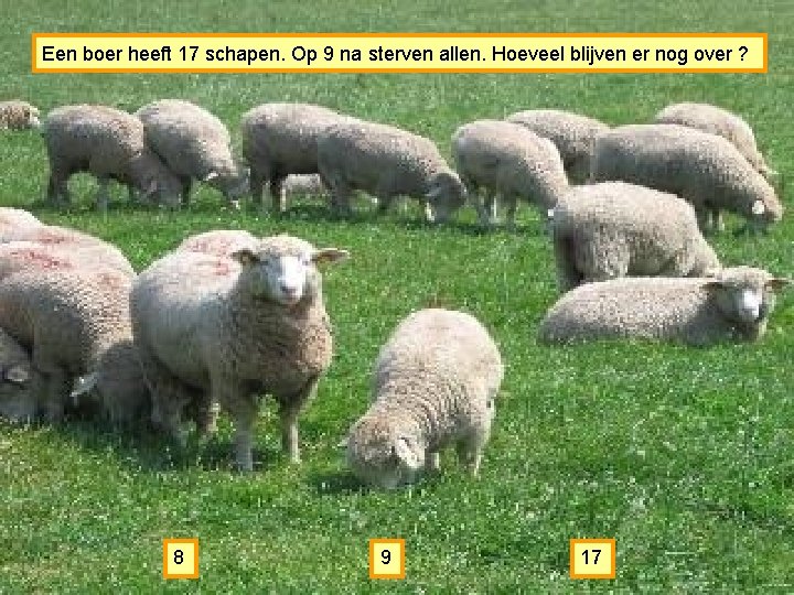 Een boer heeft 17 schapen. Op 9 na sterven allen. Hoeveel blijven er nog