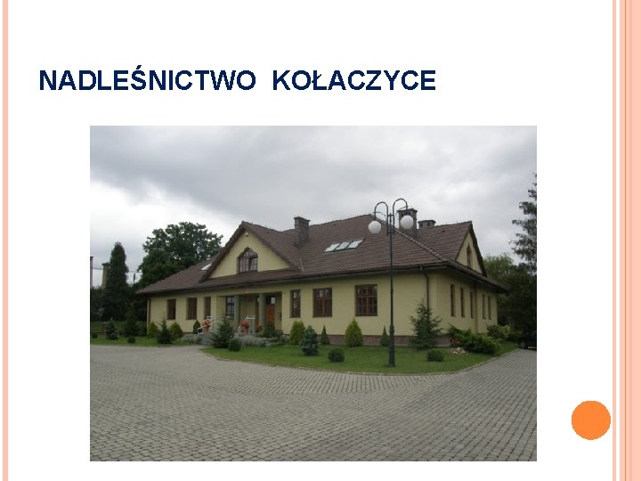 NADLEŚNICTWO KOŁACZYCE 