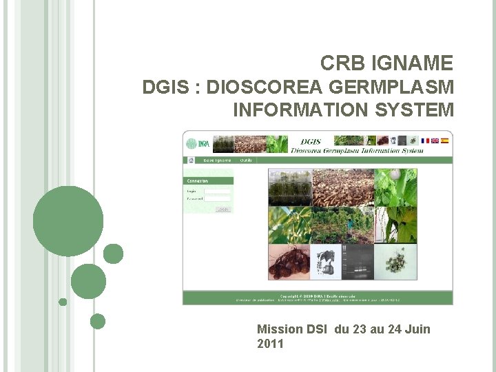 CRB IGNAME DGIS : DIOSCOREA GERMPLASM INFORMATION SYSTEM Mission DSI du 23 au 24