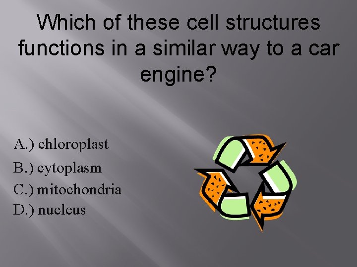 Which of these cell structures functions in a similar way to a car engine?